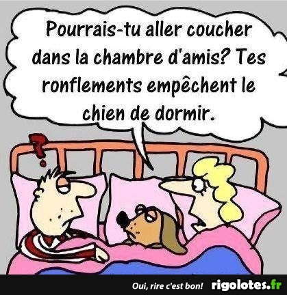 humour - Page 32 20211012