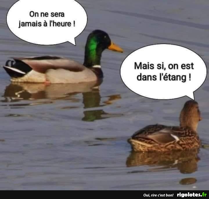 humour - Page 35 20211051