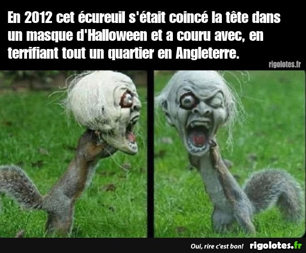 humour - Page 36 20211111