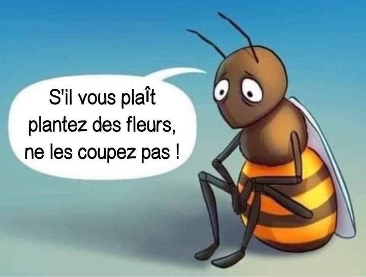 humour - Page 39 20211119