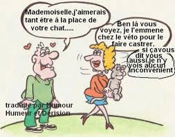HUMOUR - Page 29 Image393