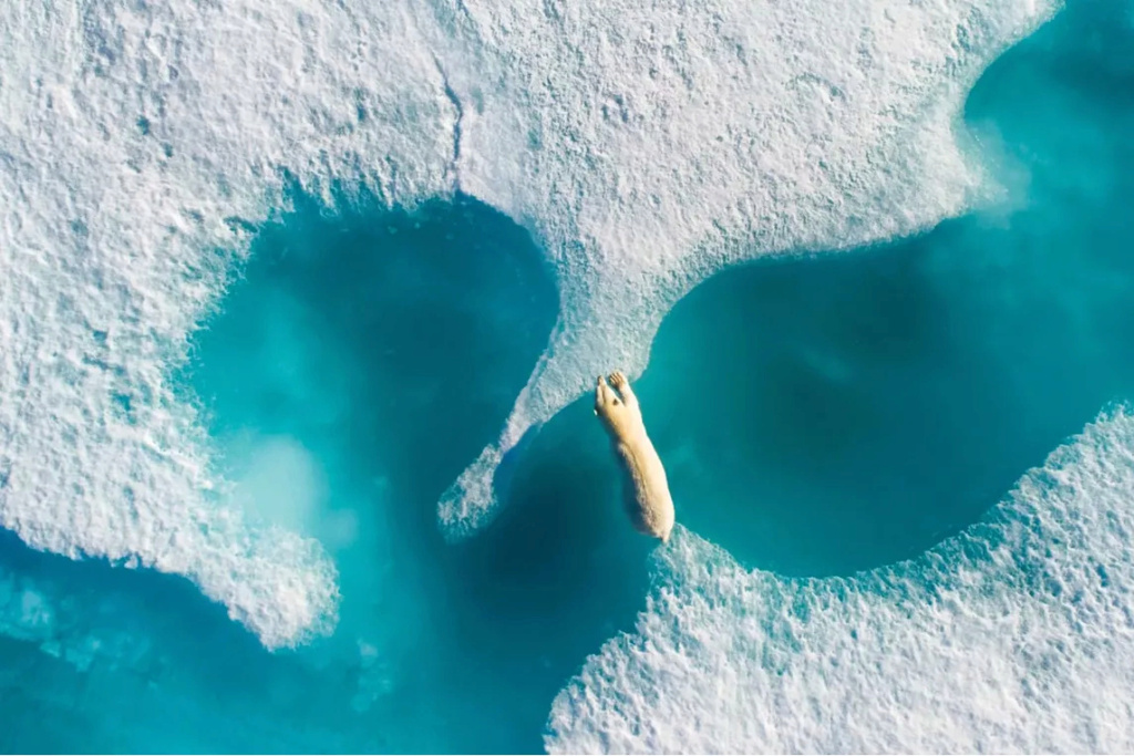 Les Drones : photographes d'altitude Photo-55