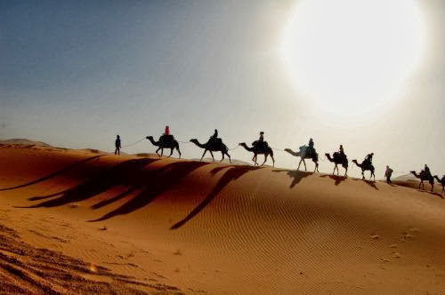الصحراء الكبرى Sahara10