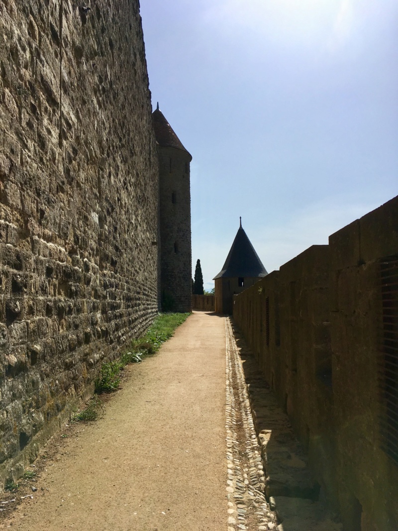 Rasso SUD 2019 a Carcassonne - Page 7 Fullsi64