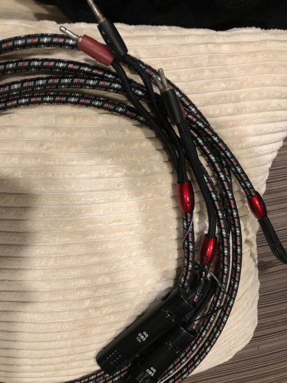 Audioquest speaker cable Ed762710