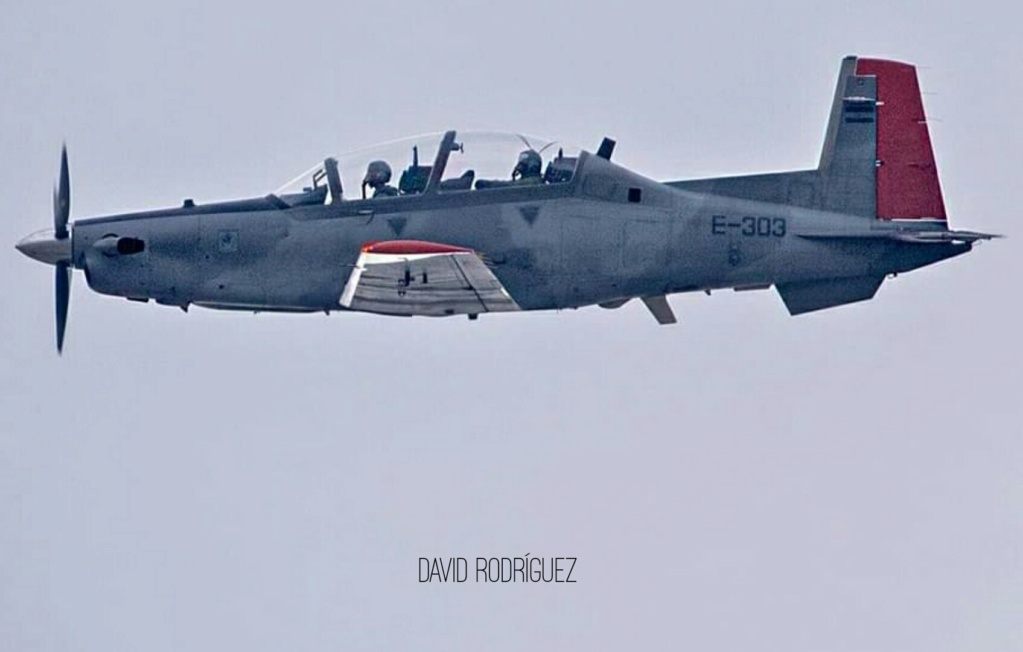 T-6C+ Texan II Argentinos - Página 27 15945210