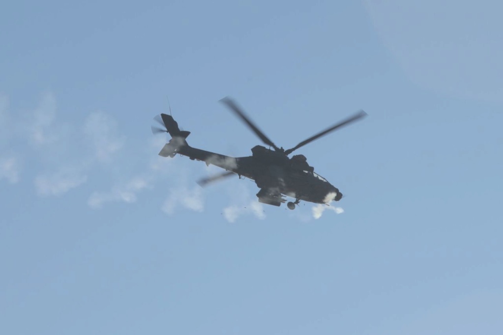 Hughes AH-64 Apache Img_2108