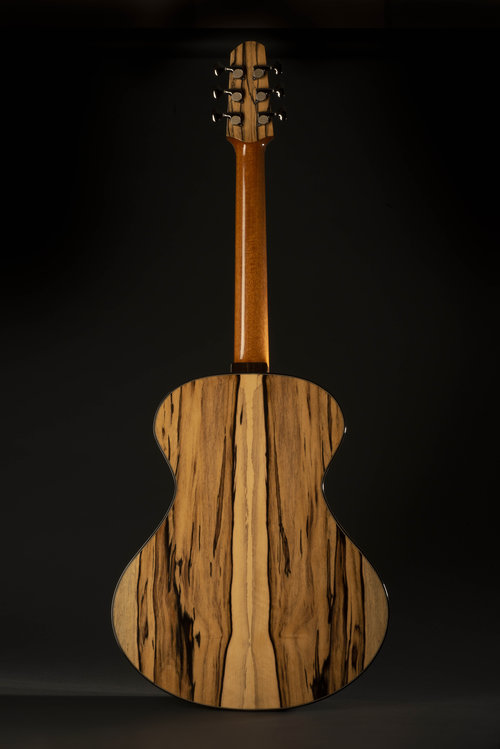 Skytop guitars August11