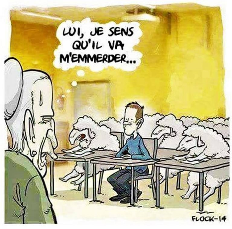 Auriez-vous préféré ne pas être un zèbre ? Humour20