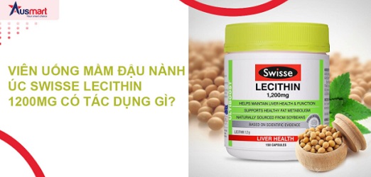 Địa chỉ uy tín chuyên cung cấp mầm đậu nành chất lượng giá tốt Mamdau10