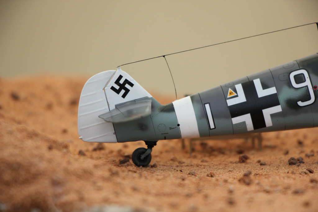 Tam 1/48 Bf 109 g6 (terminé) Img_0823