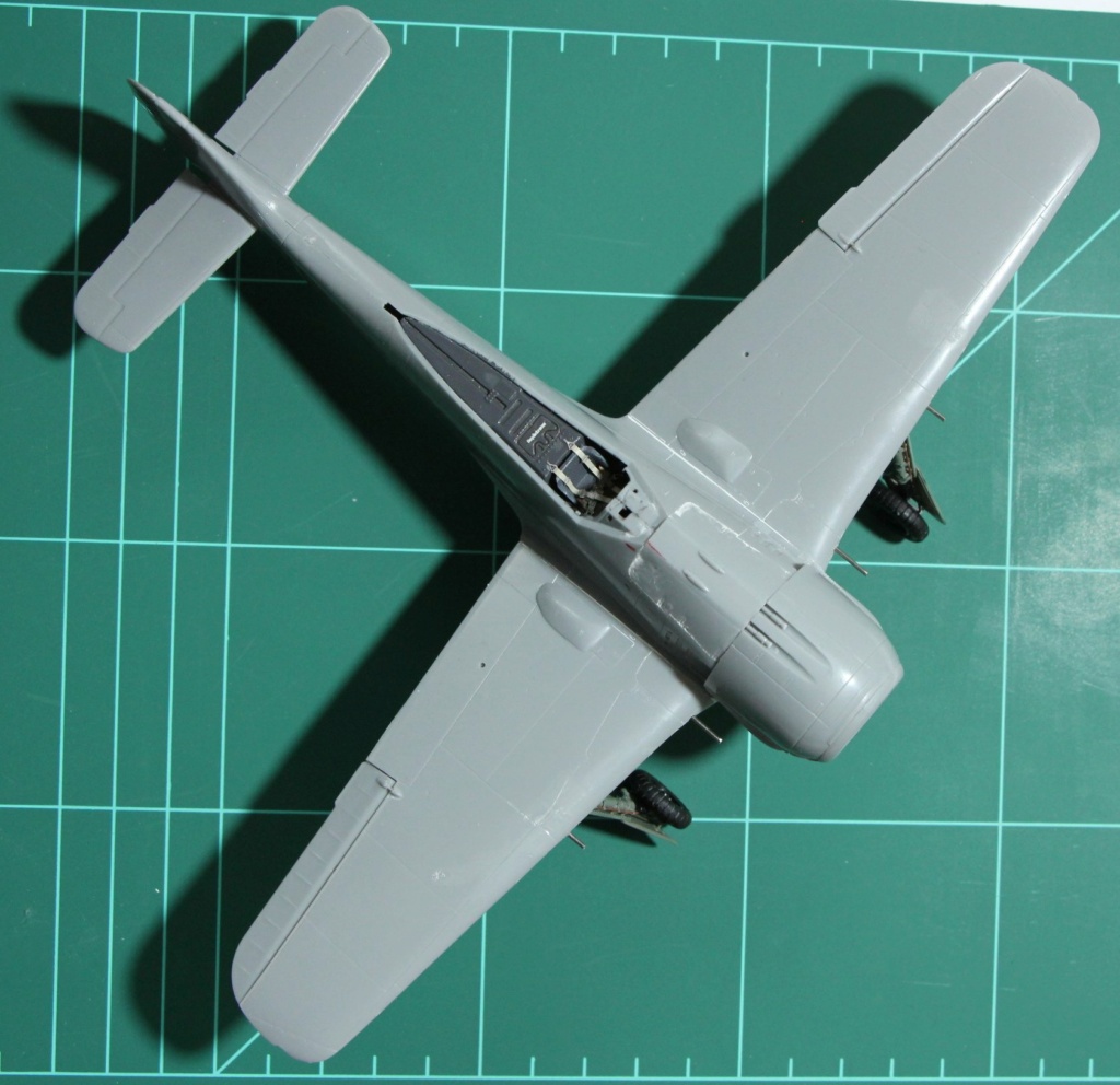 Focke-Wulf 190-a3 Hasegawa 1/48 (montage) et son diorama - Page 2 Img_1284