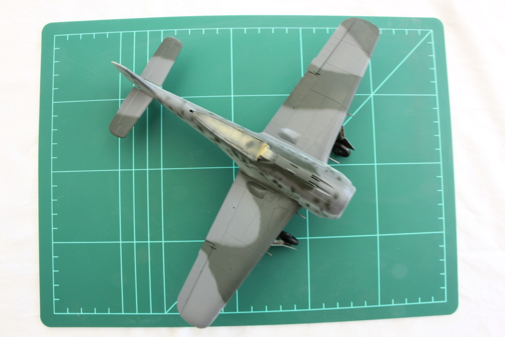 Focke-Wulf 190-a3 Hasegawa 1/48 (montage) et son diorama - Page 2 Img_1289