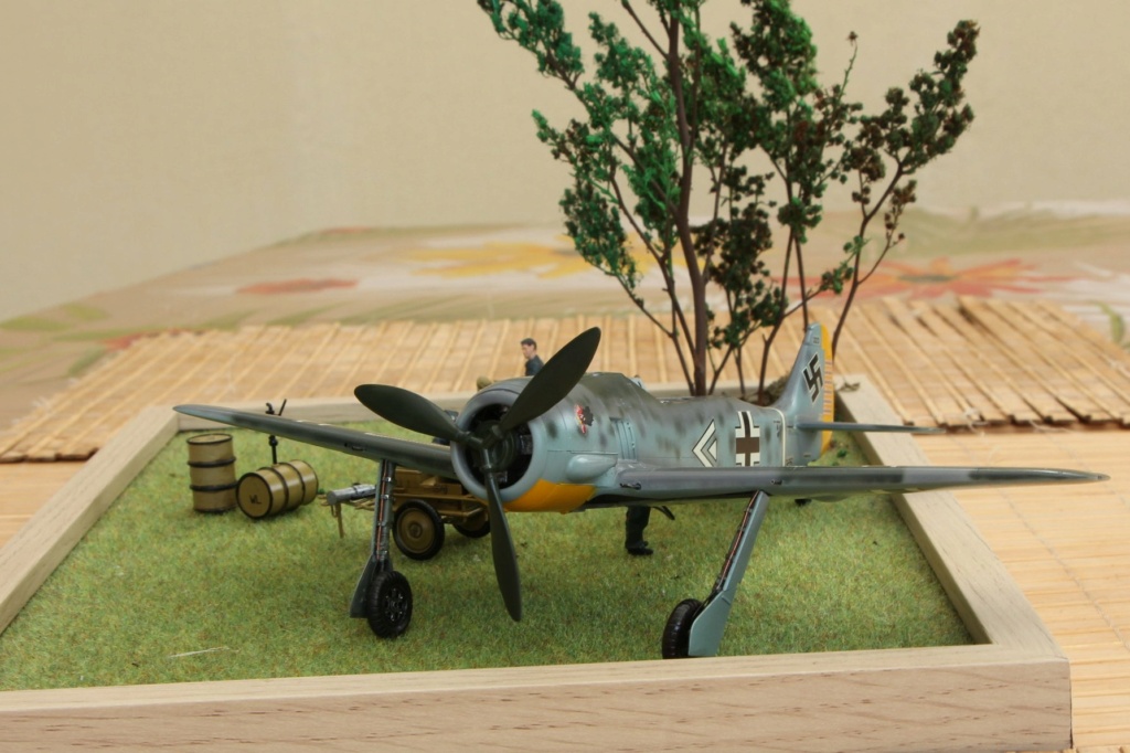 Focke-Wulf 190-a3 Hasegawa 1/48 (montage) et son diorama - Page 3 Img_1293