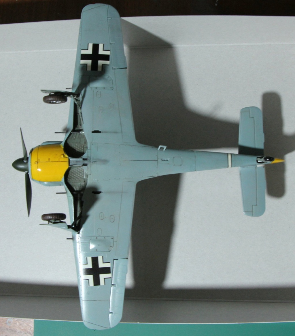 Focke-Wulf 190-a3 Hasegawa 1/48 (montage) et son diorama - Page 5 Img_1331