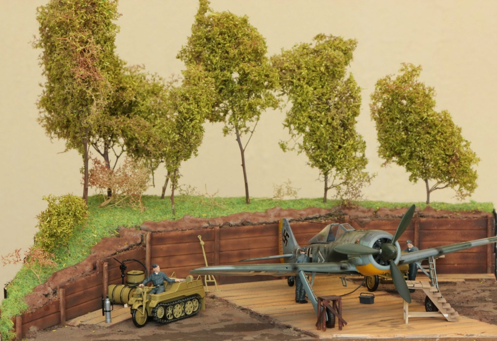 diorama FW 190  Img_1337