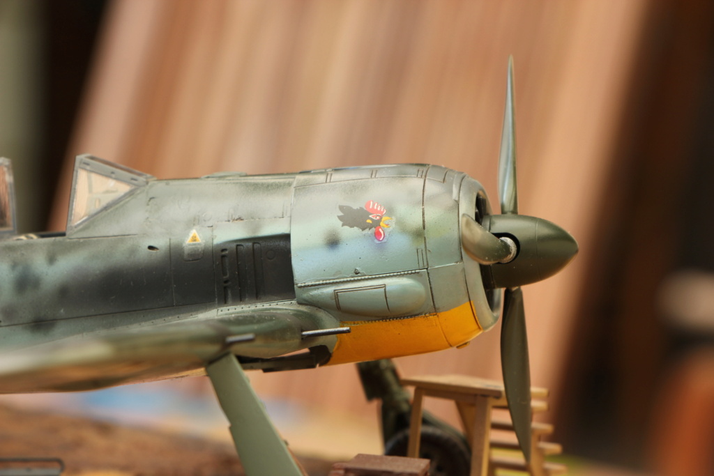 1/48 Focke 190 + kettenkraftrad Hasegawa + Tamiya Img_1340