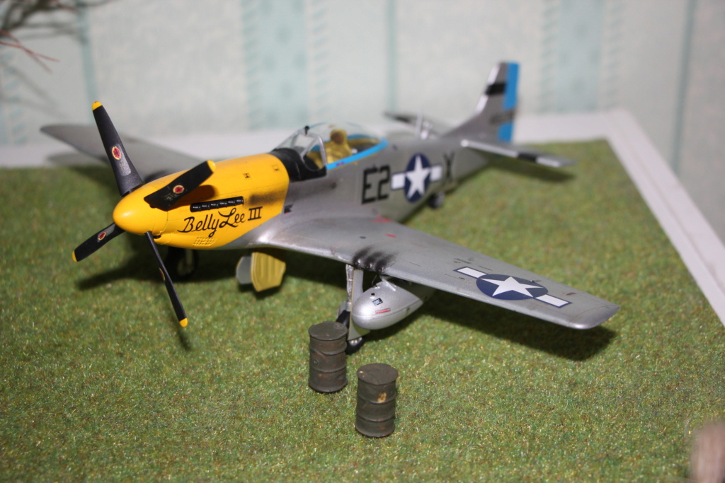 Yellow nose p51 academy 1/48 Img_9491