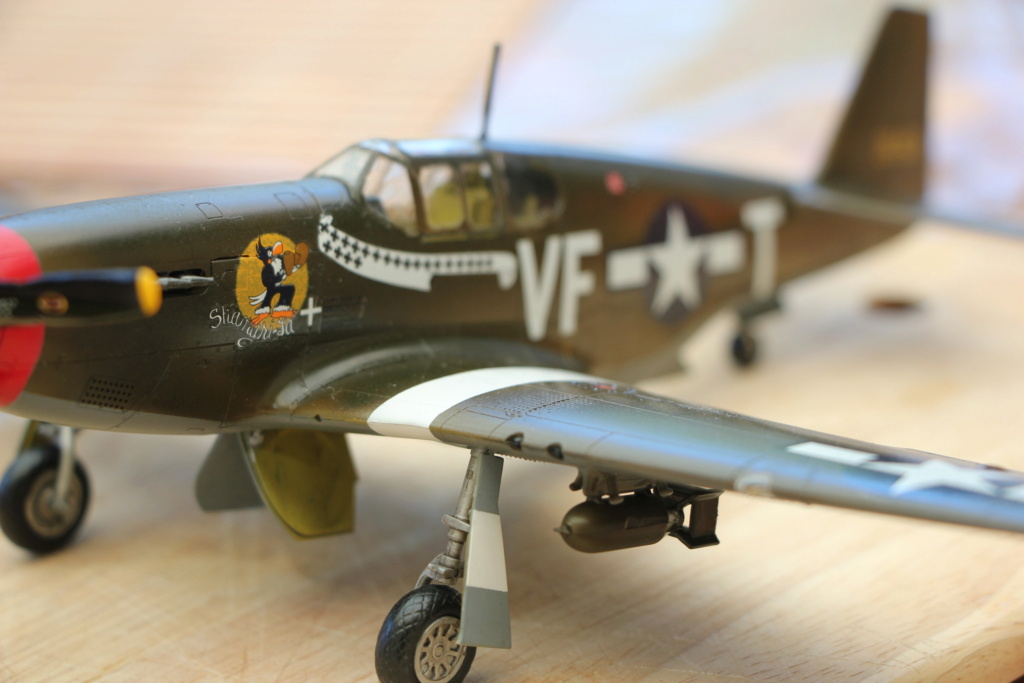 P51 b tamiya 1/48 Img_9685