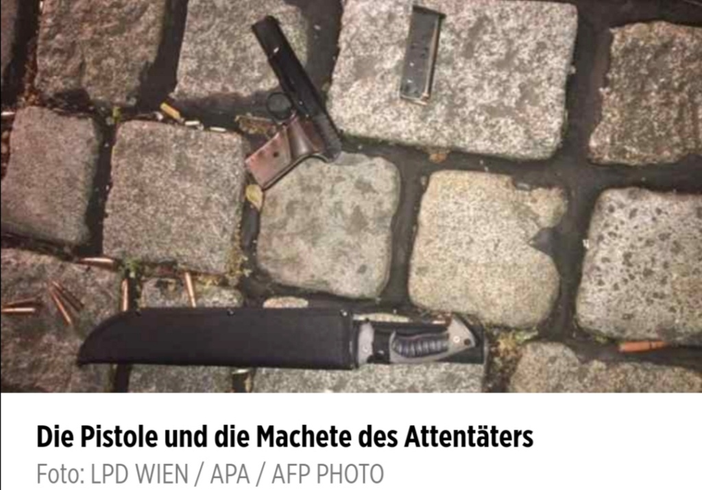 Das Waffenarsenal des Amok-Schützen von Wien Screen19