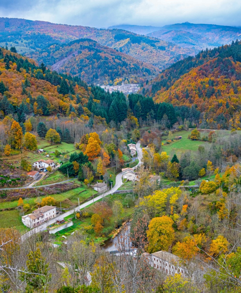 l'automne est bien là . . . Photo de G.F Vallzo10