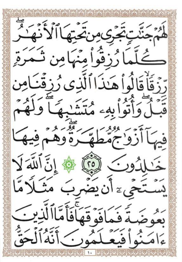 “صفحات من القرآن الكريم” (بالترتيب) 49cf9f10