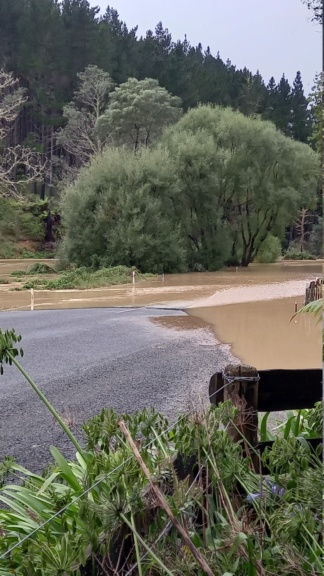 pottery - Not really pottery, but related to Cyclone Gabrielle 20230212