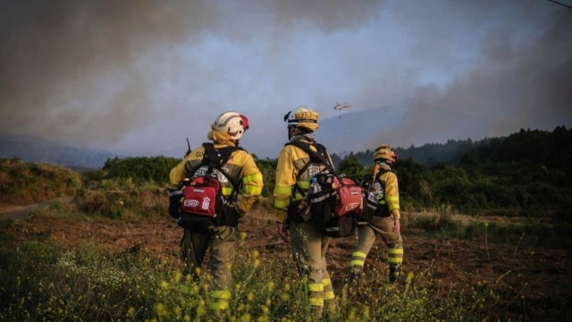 Incendie à Ténérife 29445810