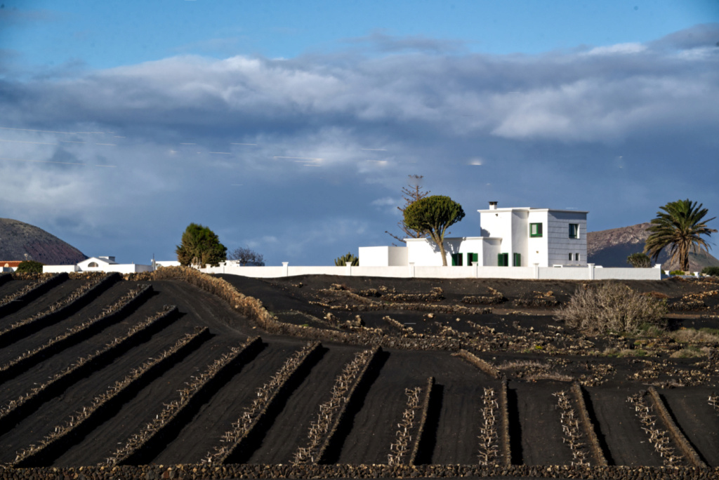 Une semaine à Lanzarote, fin avril 2023 : au soleil ! L27210