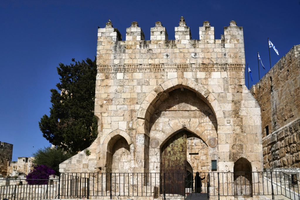 12 jours en Israêl de Tel Aviv à Acre, Capharnaum, Jéricho, Bethléem et Jérusalem - Page 2 Porte_11