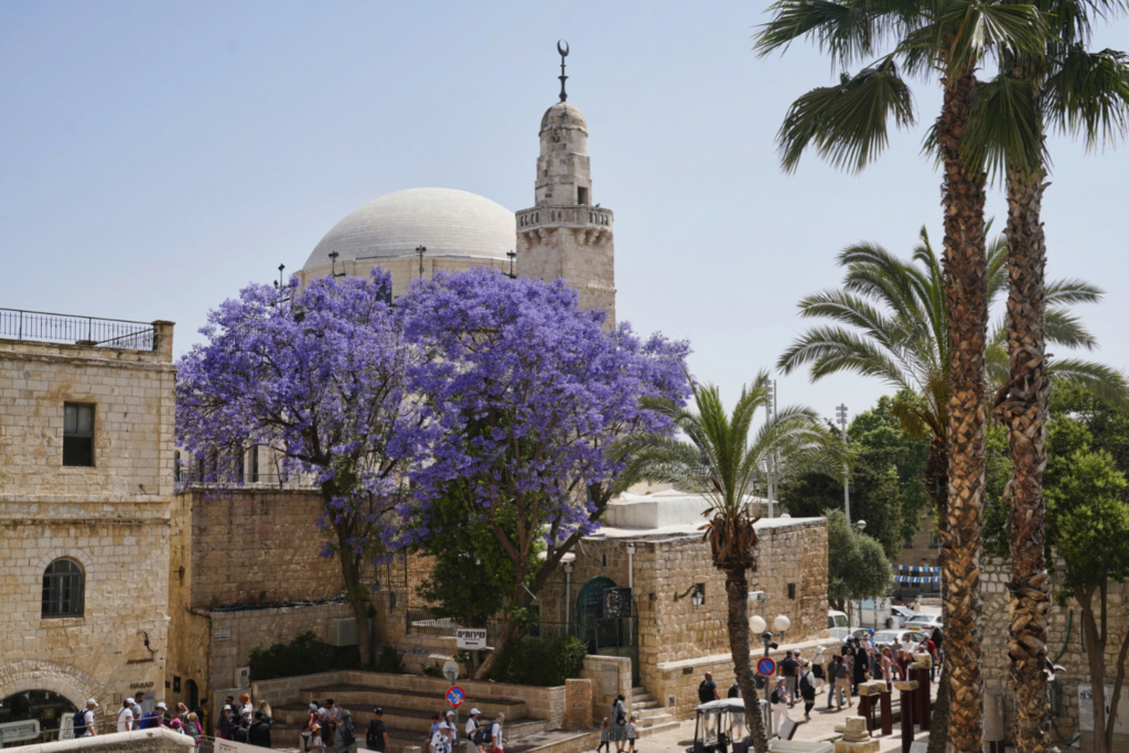 12 jours en Israêl de Tel Aviv à Acre, Capharnaum, Jéricho, Bethléem et Jérusalem - Page 2 Sidna_10
