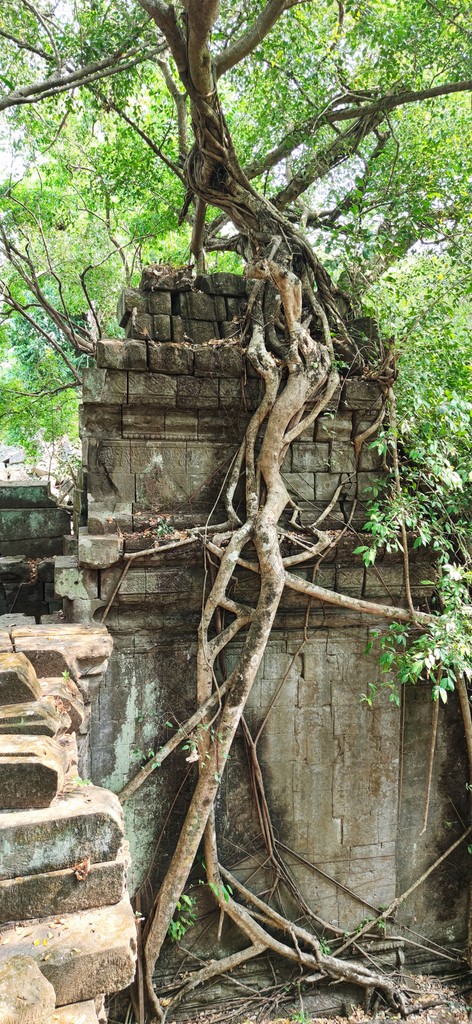 Carnet de voyage au Vietnam et à Angkor Ta-pro15
