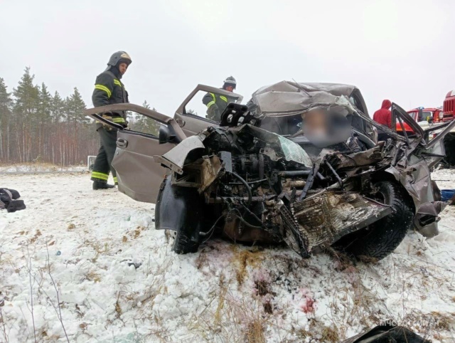 Смертельная авария в Починковском округе — 2 погибли Photo107