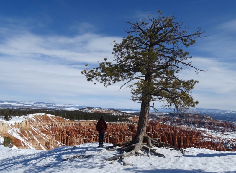 Utah, Arizona sous la neige en mars : carnet de voyage 2v6x10