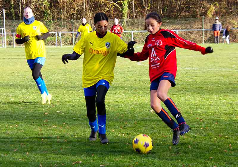 Plateau du 2/12/23 à Mascoussel  U150510