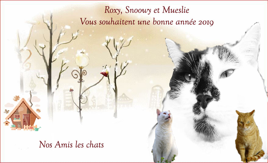 Nos Amis les Chats...