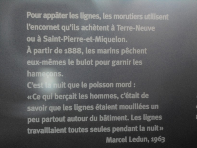 [ Associations anciens Marins ] A.G.A.S.M. Le Havre section "ESPADON" - Page 7 Dsc05446