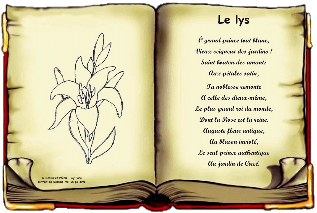 Le lys Le_lys10