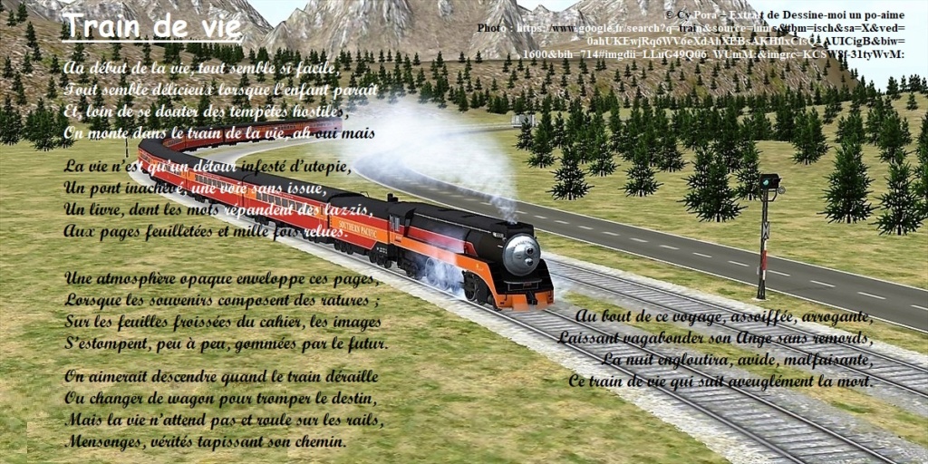 Train de vie Train_10