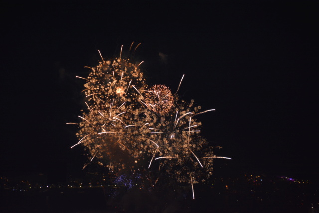 14 juillet : feu d'artifice ou photo en noir et blanc Feu_d_10