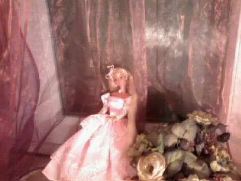 ma collection de Barbie Photo046