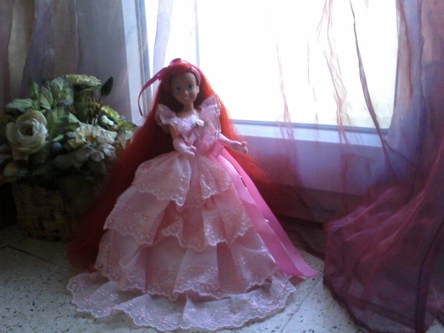 Ma collection des princesses Disney Photo162