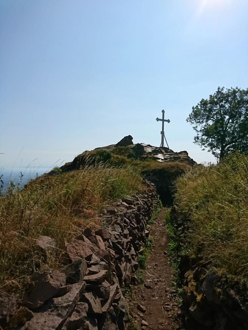 Le vieil armand ou Hartmannswillerkopf Dsc_0424