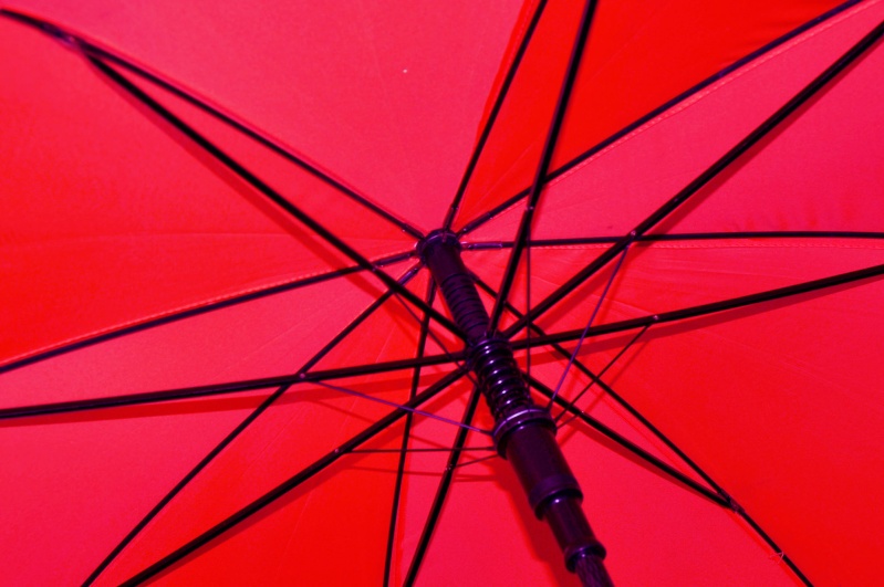 PHOTOHUNT:  UMBRELLA Umbrel11