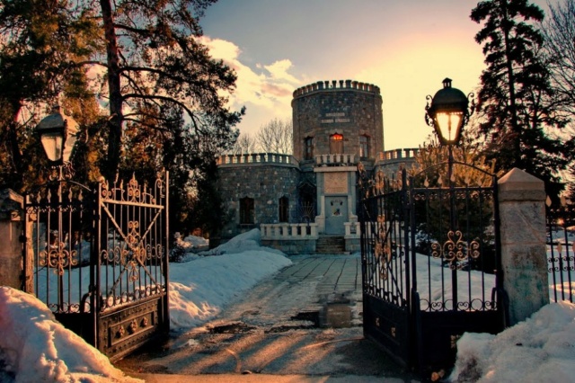 LE CHATEAU IULIA HASDEU (Roumanie) Castle20