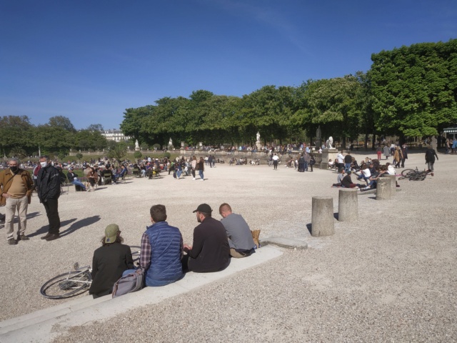 Choses vues dans le jardin du Luxembourg, à Paris - Page 9 16194612