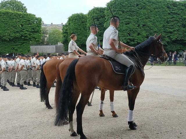 Choses vues dans le jardin du Luxembourg, à Paris - Page 10 Milita12