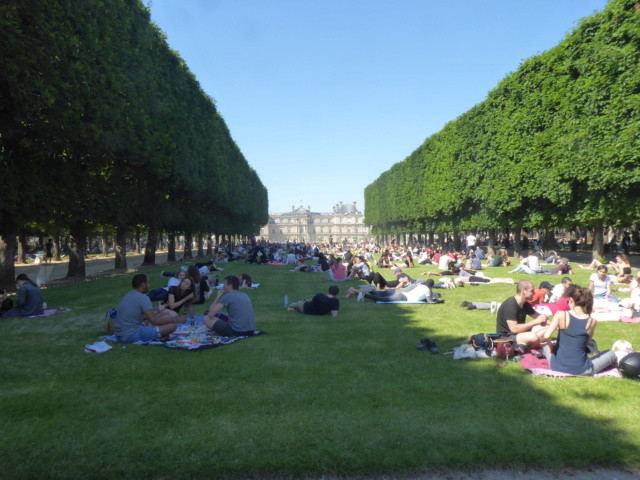 Choses vues dans le jardin du Luxembourg, à Paris - Page 8 P1050511