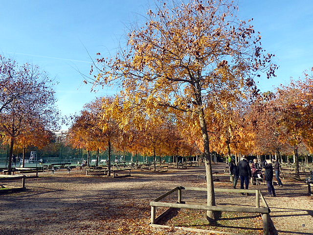 Choses vues dans le jardin du Luxembourg, à Paris - Page 10 P1050824