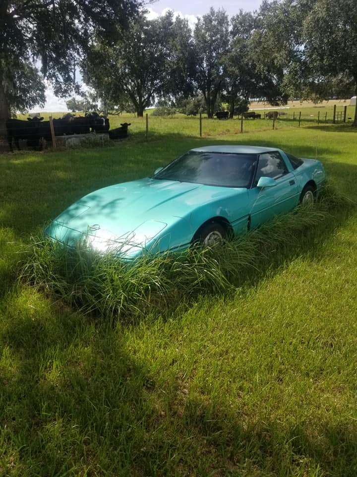 Comment une Corvette se transforme en deco de jardin 11738710